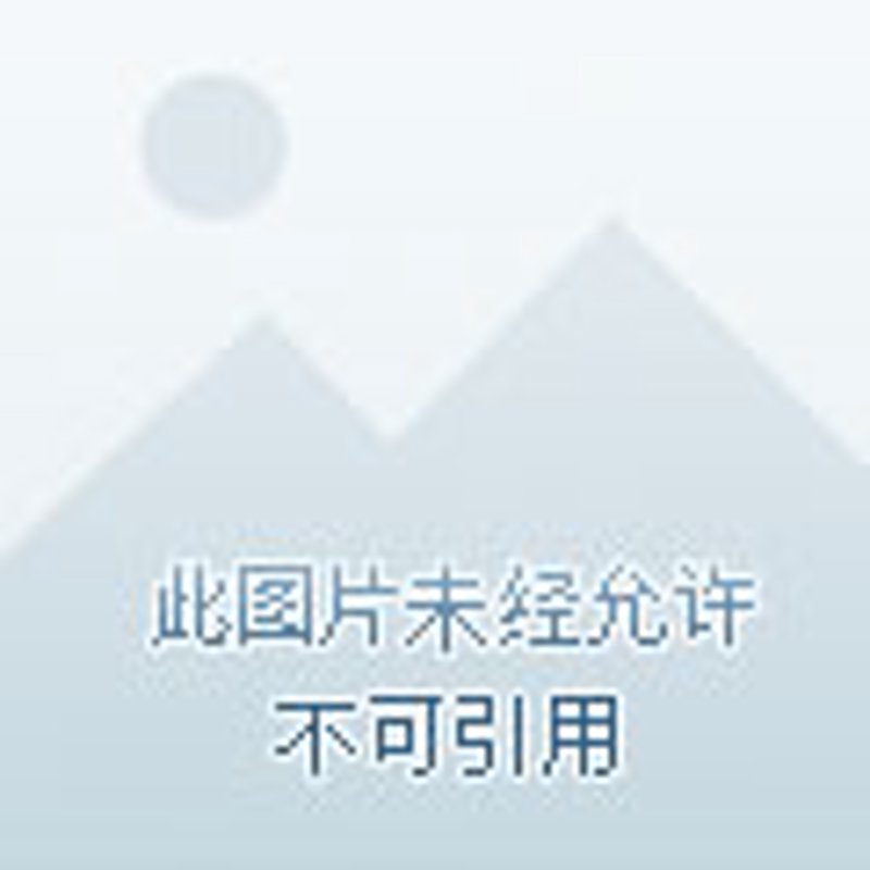 在选择建筑机械时，如何做出明智的决策？这不仅关乎成本，更影响工程效率和安全性。